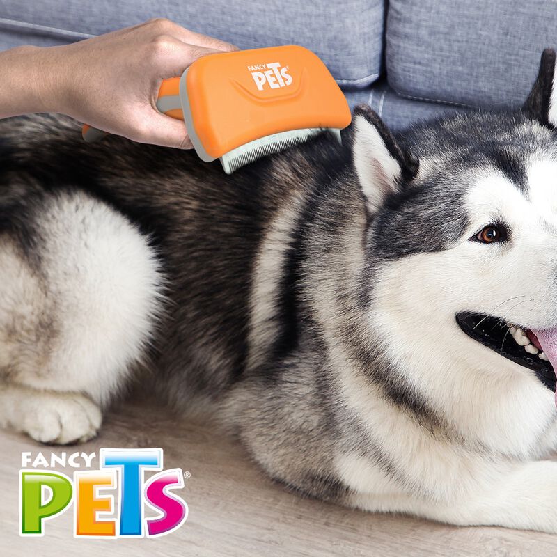 Fancy Pets. Deslanador para Perro Curvo Mediana image number null