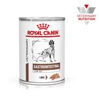 Royal Canin Vet Lata Perro Gastro Intestinal Low Fat 385g