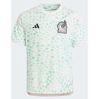 Jersey Selecci&oacute;n De M&eacute;xico Gala 2023 Talla G