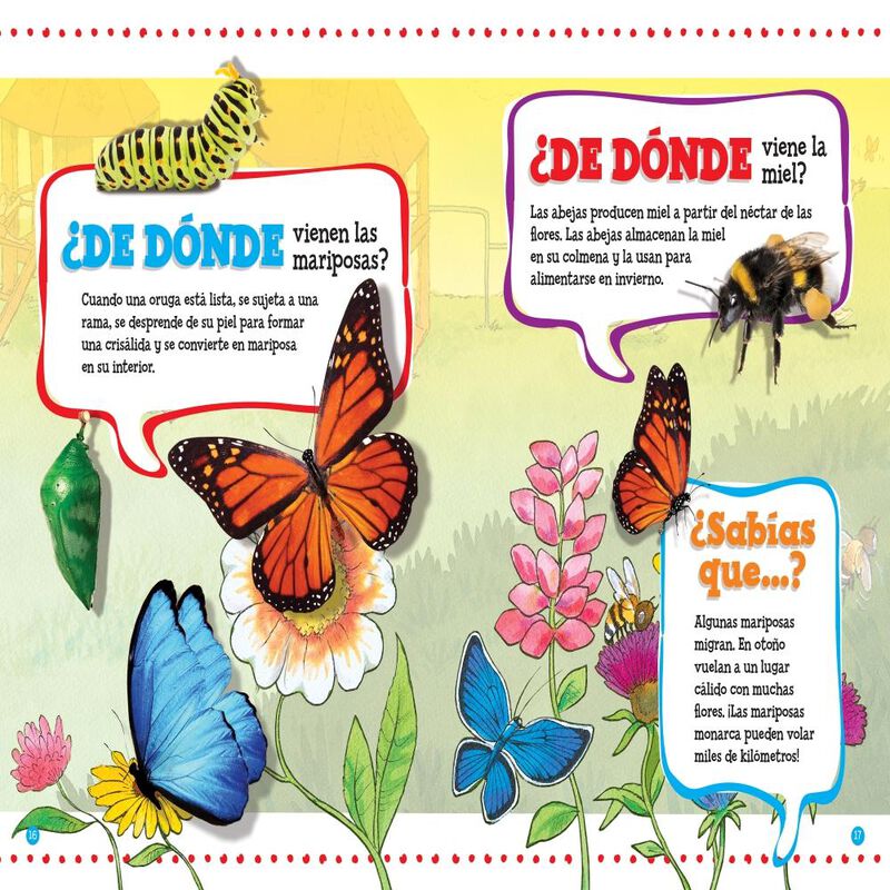 Active Minds:Quiero saber &iquest;D&oacute;nde? image number null