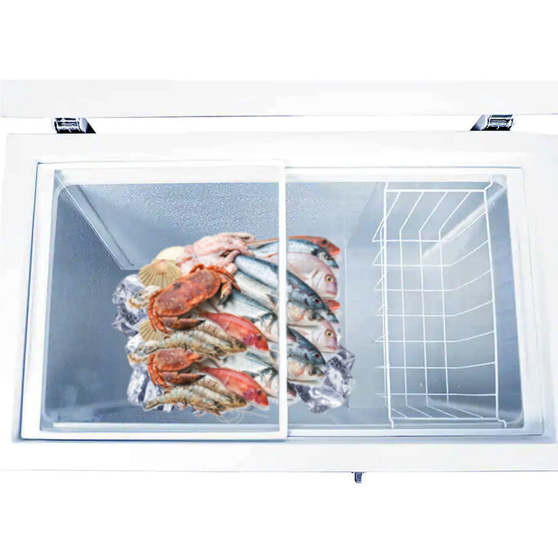 Congelador Horizontal Hisense Mod. Fc70D6Bwx 7P... image number null