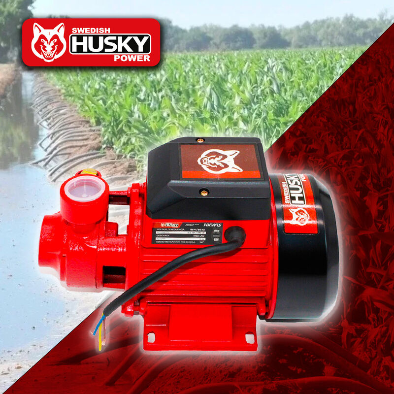 Bomba de Agua Electrica de 1/2HP 110volts image number null