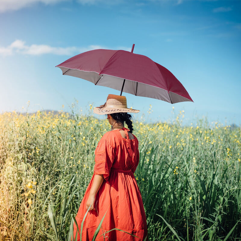 Paraguas XL Unisex Resistente a Vientos y Lluvi... image number null