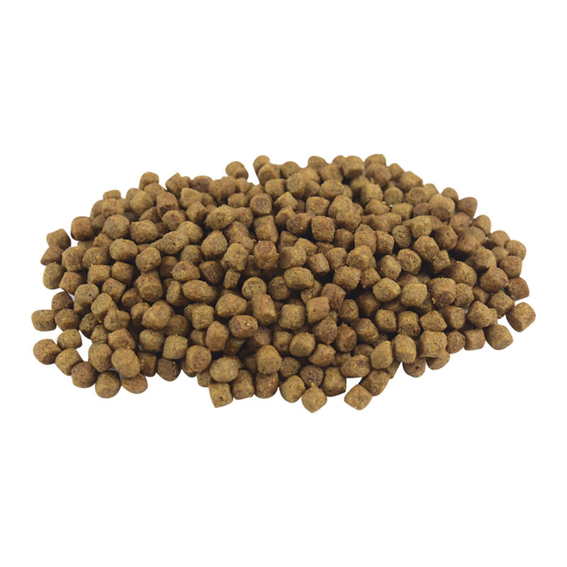 Perfect Sense Alimento Senior para Perro Mayor ... image number null