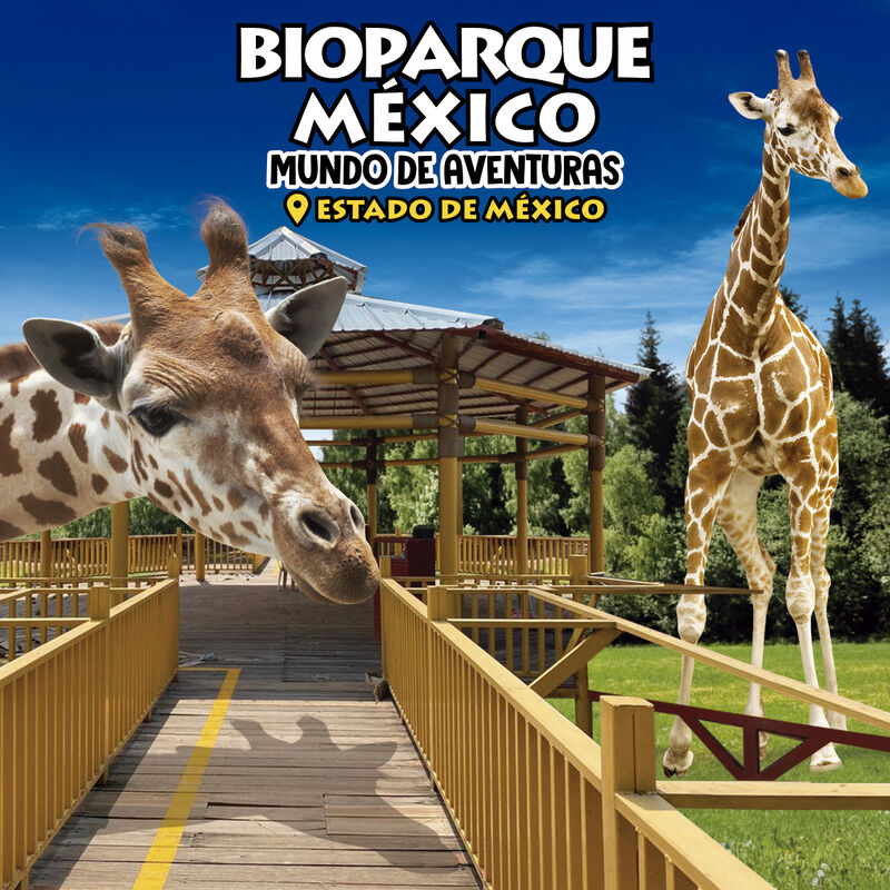 Bioparque + transporte Incluido CDMX Deportivo ... image number null