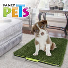 Fancy Pets Doggie Grass Chico de Entrenamiento para Perro