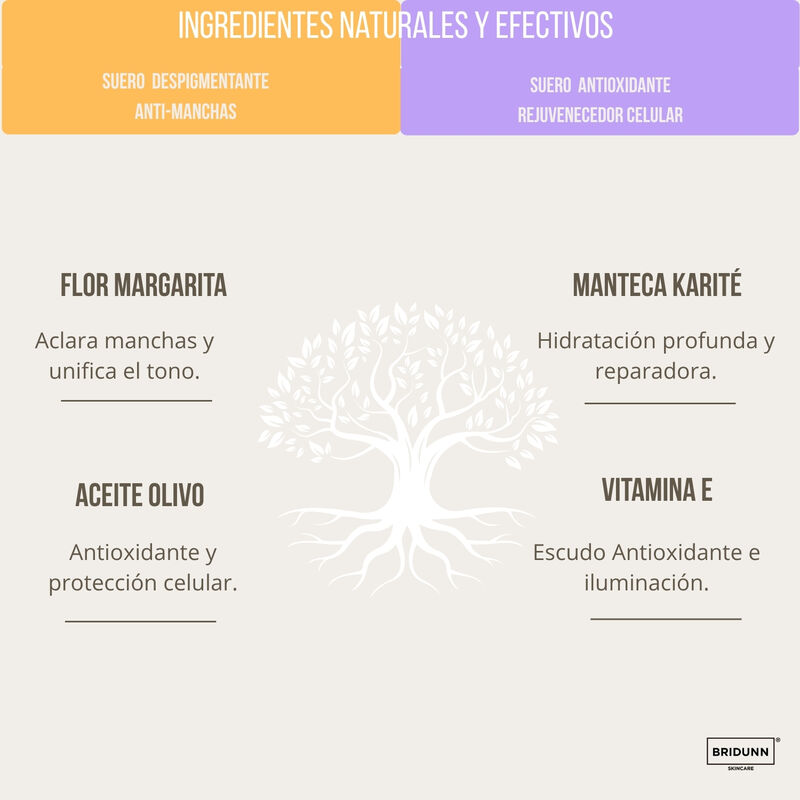 BRIDUNN Kit Facial Antimanchas | Crema Despigme... image number null