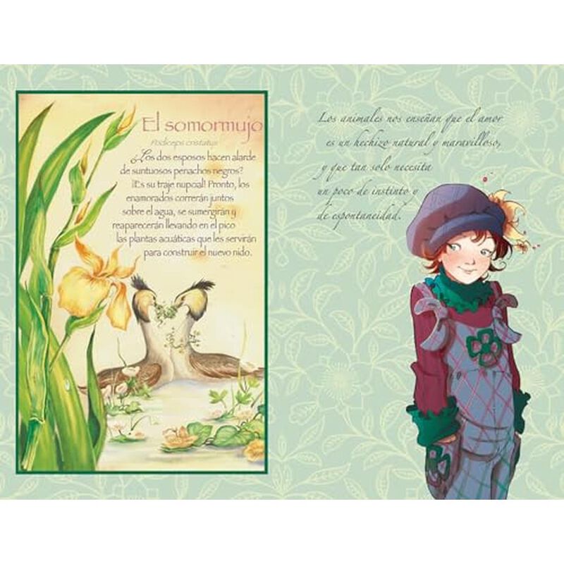 Capit&aacute;n Grisam y El Amor Fairy Oak 4 image number null