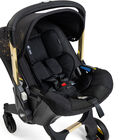 Doona Base + Autoasiento Gold