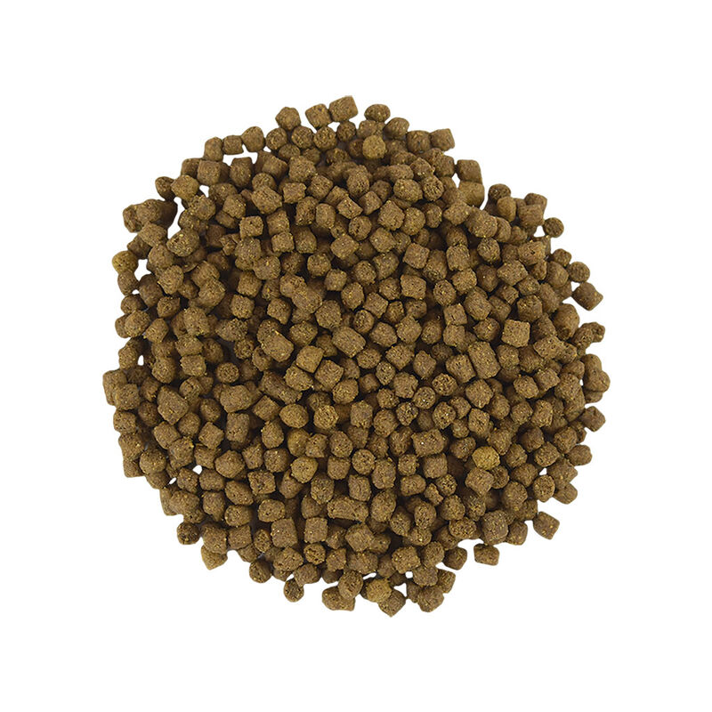 Redkite Alimento para Erizos Select 800g image number null