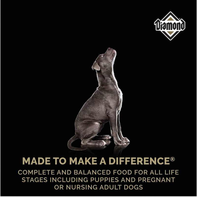 Diamondsuper Premium 9.07 Kg image number null