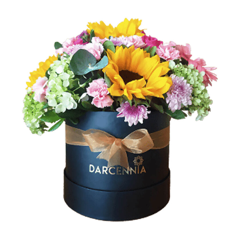 Color Bomb image number null