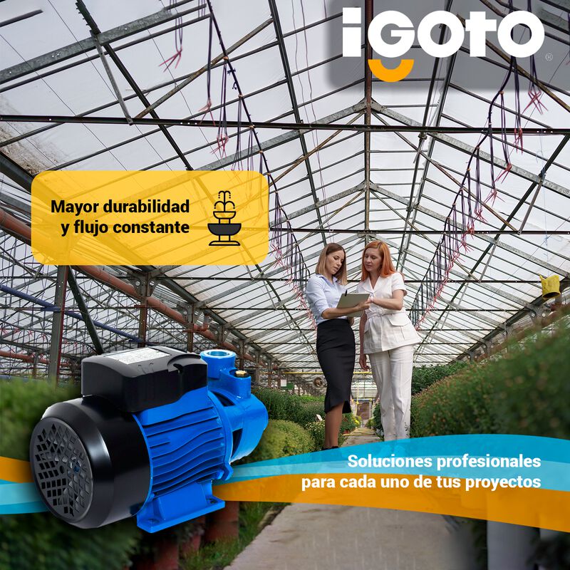 Bomba Perif&eacute;rica 1/2 Hp 127 V, 370w Igoto Qb-60 image number null