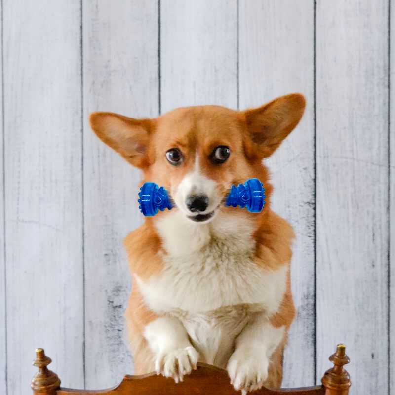 Juguete para perro mancuerna chill&oacute;n vinil ergo... image number null