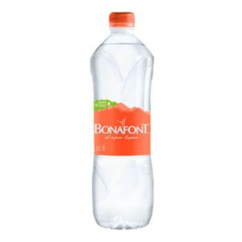 AGUA NATURAL BONAFONT 1L image number null