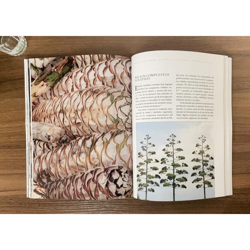 Mezcal. Un espirituoso artesanal de clase mundi... image number null