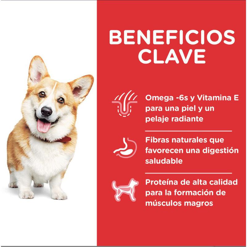 Hill's Canino Adult Small 6.8 Kg 1 Unid X Caja ... image number null