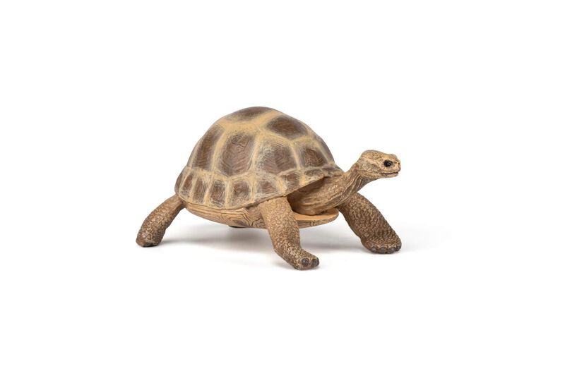 Figurita De Tortuga Hermann De Papo &ndash; 3+ A&ntilde;os &ndash;... image number null