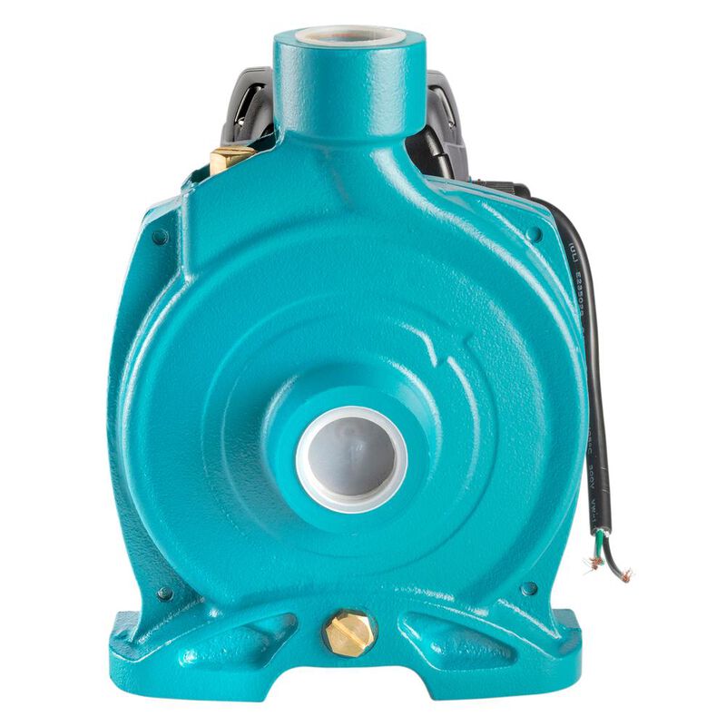 Bomba eléctrica centrífuga 1 HP image number null