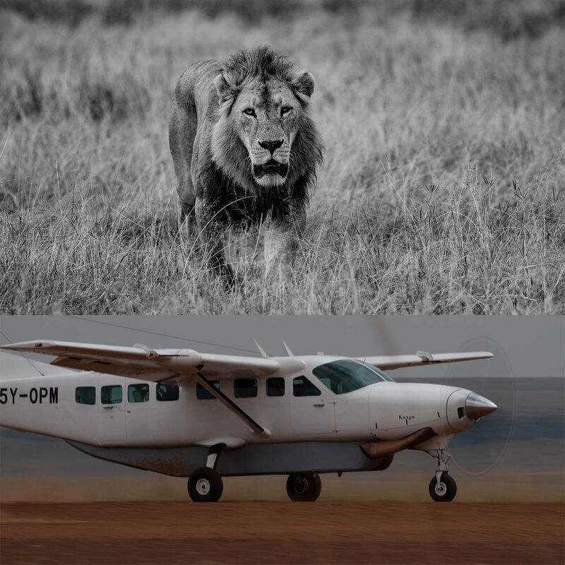 Aventura Acampando en África image number null