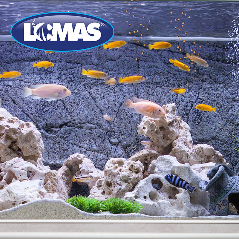 Lomas Alimento para Ciclidos Medianos Contiene ... image number null