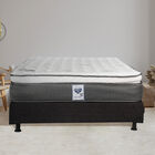 Colchón Queen Size Spring Air Phantom + Box Dic... Colchón Queen Size Spring Air Phantom + Box Dicasa Belu + Almohada Osos + Sábanas Spring Air Gris + Protector Spring Air Supreme.