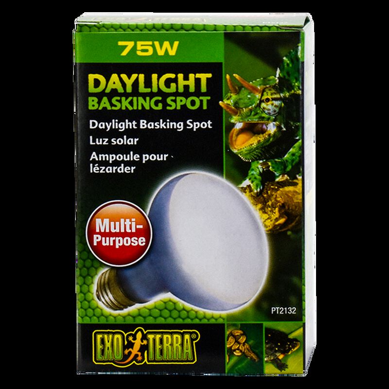 Hagen Foco Sun Glo Neodymium Exo-Terra 75 W image number null