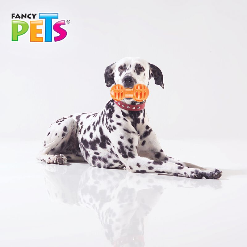 Fancy Pets Juguete Pesa Para Meter Premios para... image number null