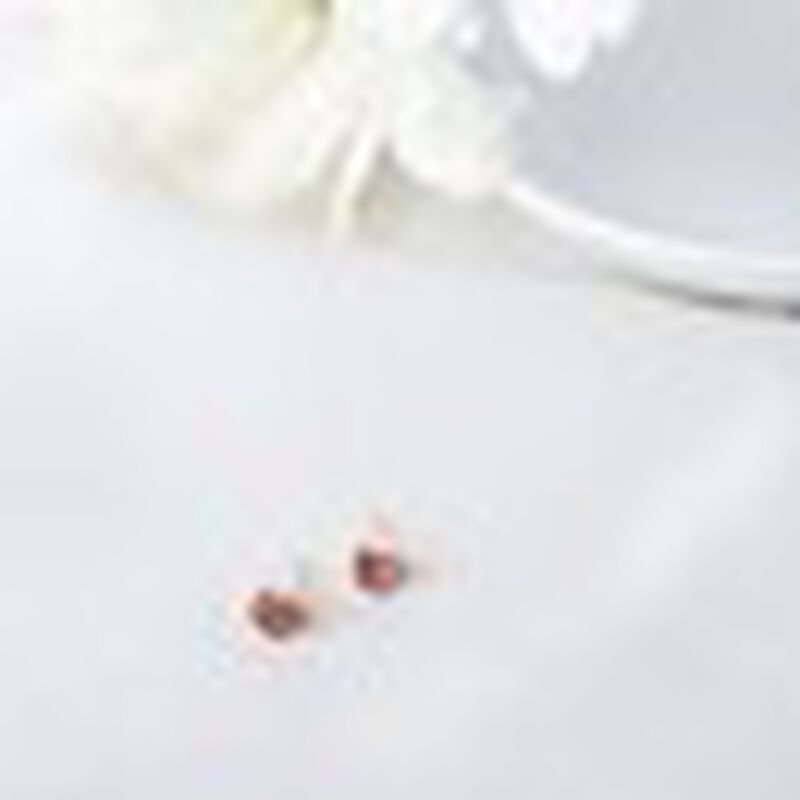 Broqueles Rodolita Dorada image number null