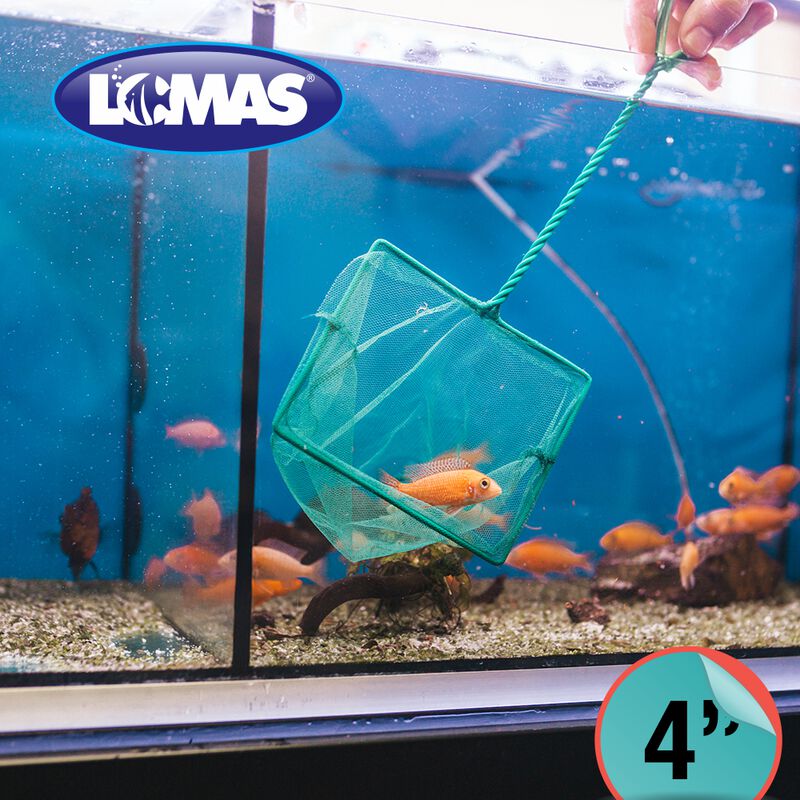 Lomas Red De Malla Gruesa Para Acuarios Y/o Pec... image number null