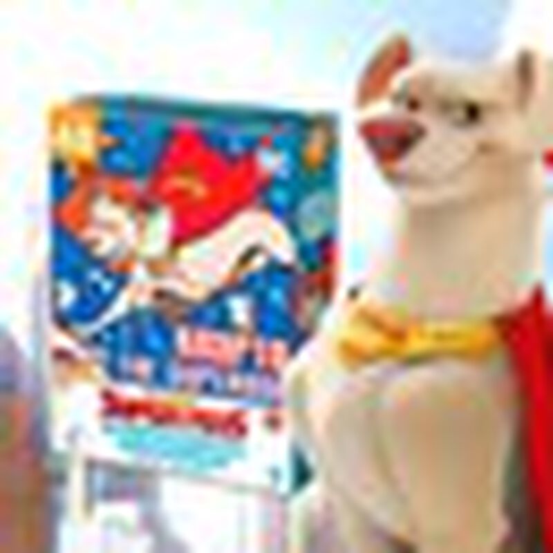 Rompecabezas con Terciopelo DC Super Pets image number null