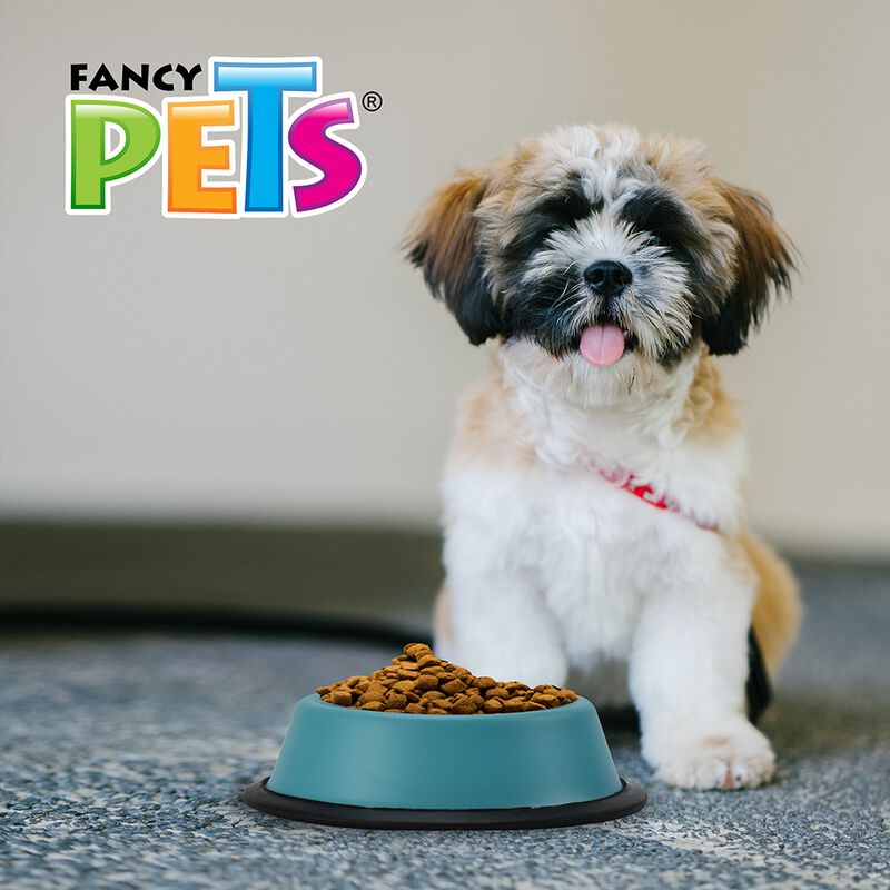 Fancy Pets Plato De Colores Surtidos Para Perro... image number null