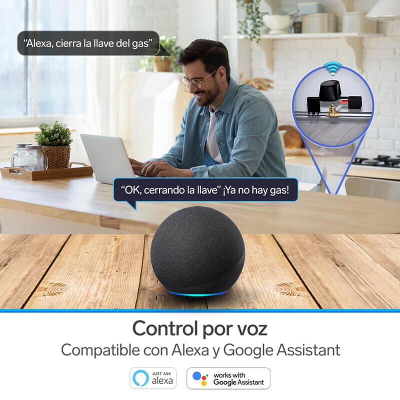 V&aacute;lvula Wi-fi SHOME-150 image number null