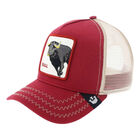 Gorra Goorin Bros Bull 1010521