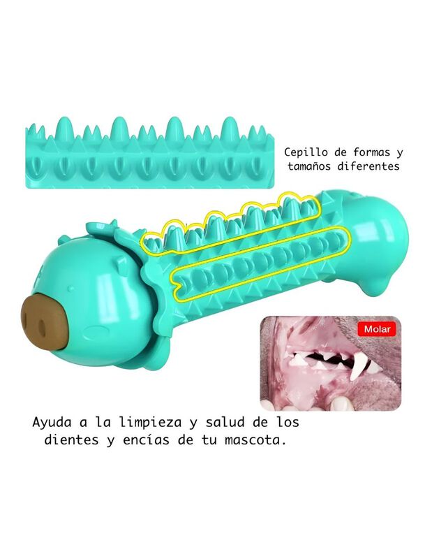 Juguete Dental Para Moder Para Perros Elego image number null