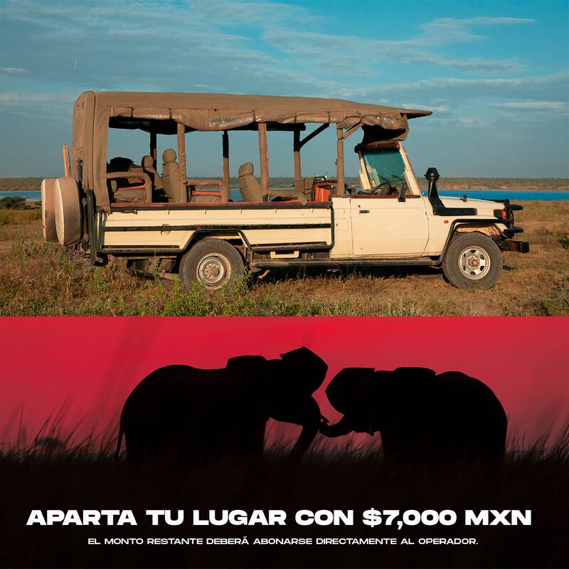 Ruta World Lineage Safari image number null