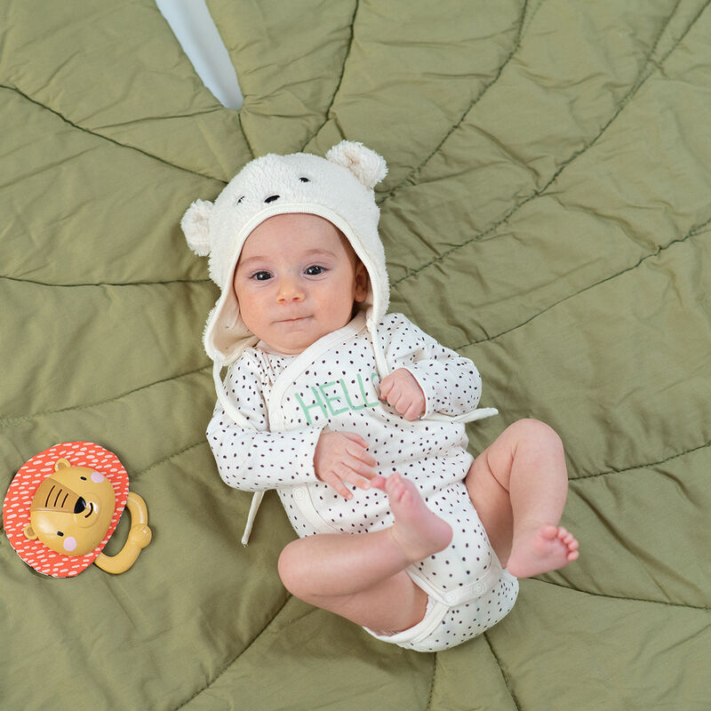 Platillos De Harry El Le&oacute;n image number null