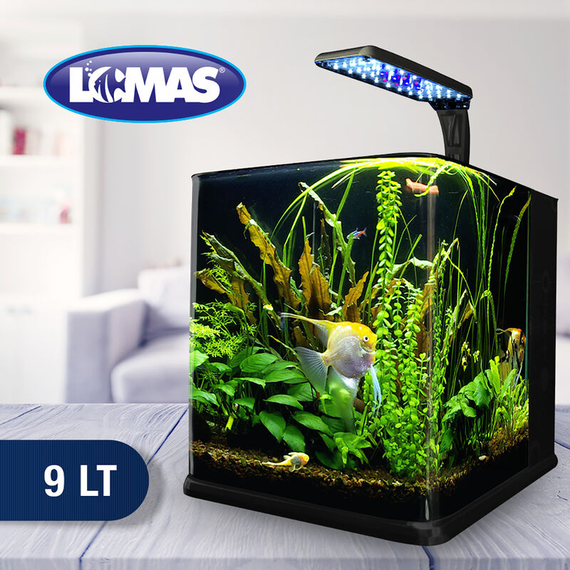 Lomas Nano Cubo Kit de Acuario Ecol&oacute;gico para E... image number null