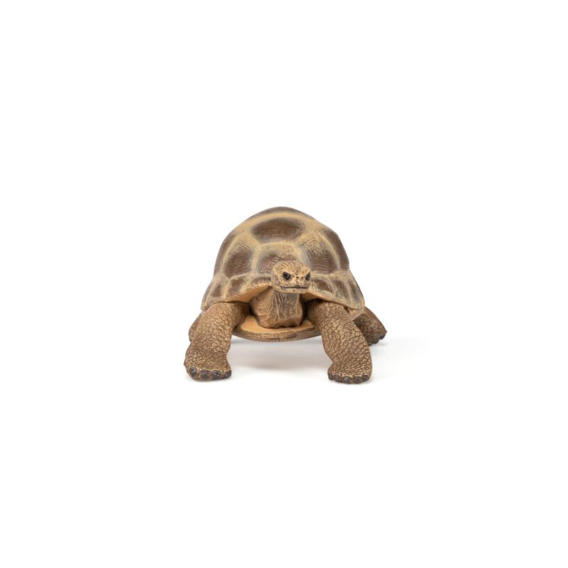Figurita De Tortuga Hermann De Papo &ndash; 3+ A&ntilde;os &ndash;... image number null
