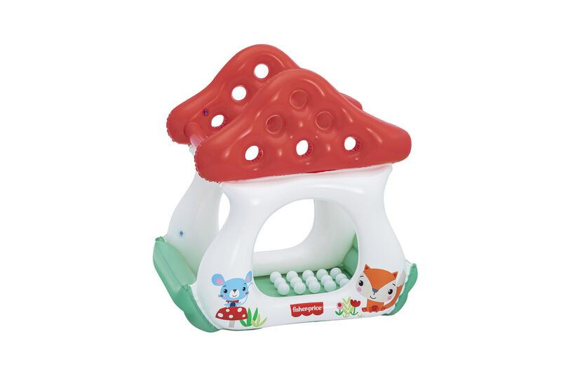 &nbsp;Centro de juegos Fisher Price pozo de pelotas ... image number null