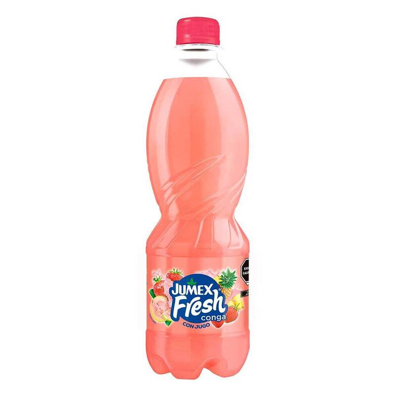 JUGO SABOR CONGA JUMEX FRESH 600ML image number null