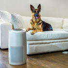 Purificador de Aire Instant AP300