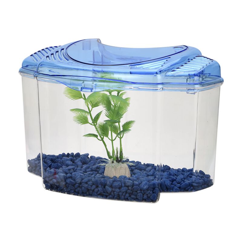 Lomas Kit Betera de Pl&aacute;stico para Iniciaci&oacute;n co... image number null