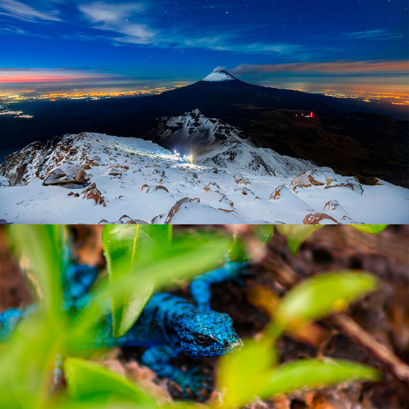 Curso de Fotografía de Vida Silvestre World Lin... image number null