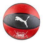 Bal&oacute;n Puma Teamjaws Para Basquet