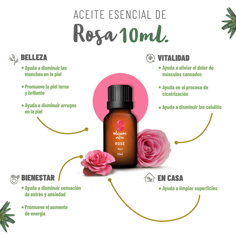 Aceite Esencial Puro Rosa 10 ml 100% Puro y Org... image number null