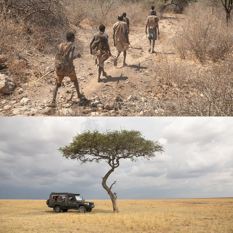 Cultura Africana image number null