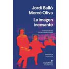 La Imagen incesante. Anatomía de los formatos audiovisuales