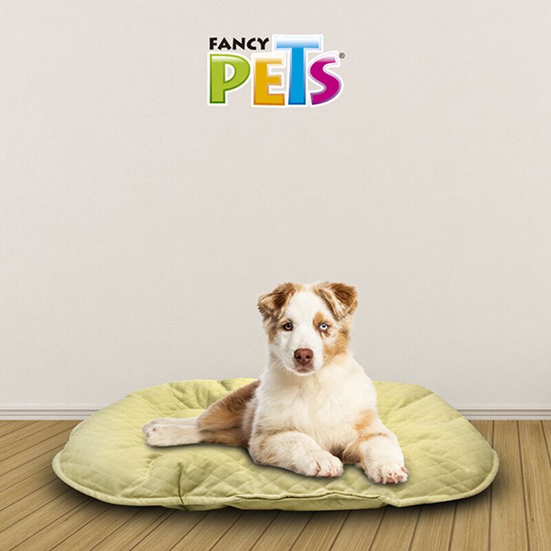 Fancy Pets Cojin Para Cama Tama&ntilde;o Grande image number null
