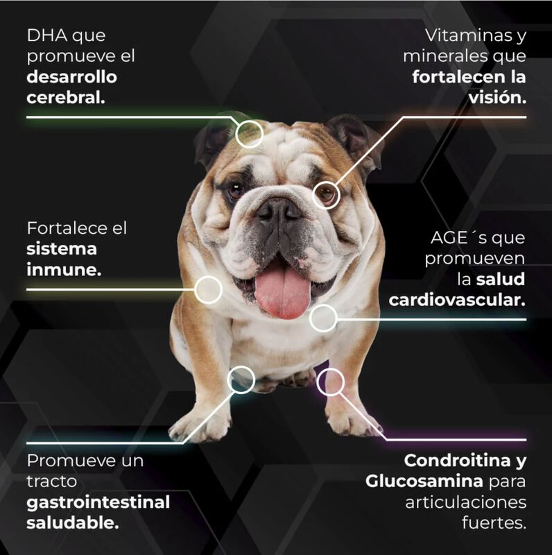 Proseries Holistic - Alimentos Para Perros Con ... image number null